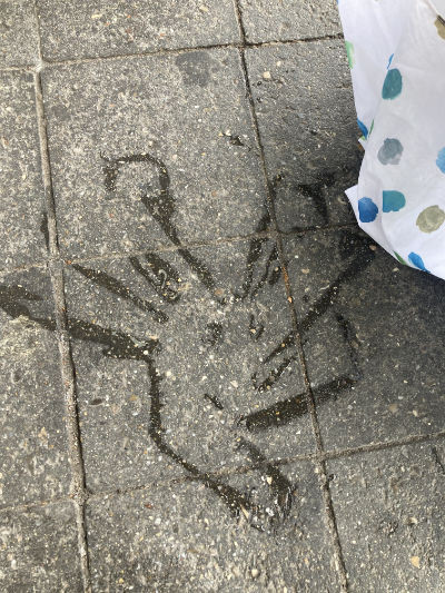 photo of pavement in front of me. There is a pattern of wetness on the otherwise dry stone tiles that is made out of various straight lines and three dots in the centre, resembling some kind of Pokémon character with a happy face.